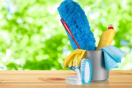Oven cleaning service for a modern Canary Wharf apartment kitchen