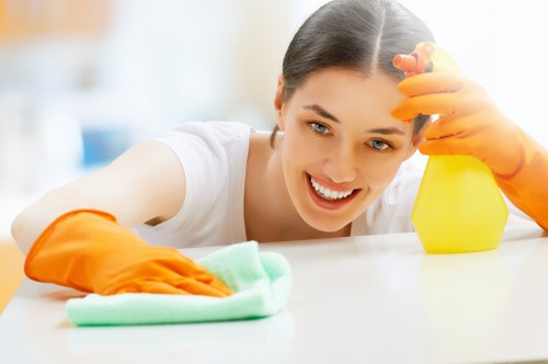 Professional move-out cleaning in a modern Canary Wharf flat