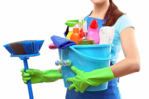 Routine kitchen and bathroom cleaning in Canary Wharf
