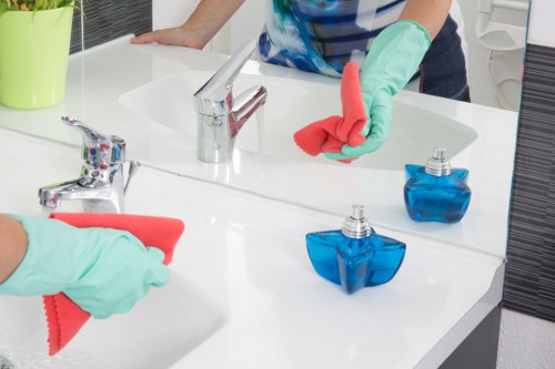 Deep cleaning pet stains on a carpet in a modern Canary Wharf property