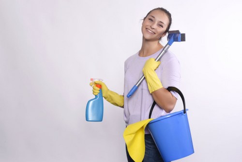 Odour removal treatment for a pet accident in a Canary Wharf home
