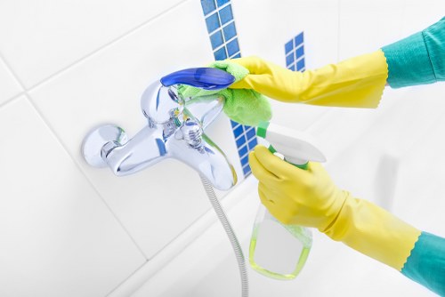 Professional cleaning of oven racks and trays in Canary Wharf