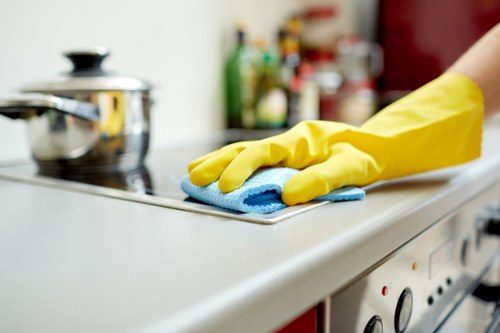 Regular house cleaning in a Canary Wharf residential property
