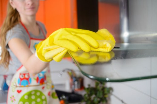 Professional cleaners preparing a kitchen in Canary Wharf for move in