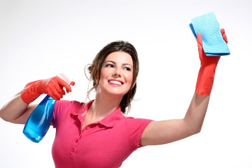 Local domestic cleaner serving Canary Wharf and nearby Docklands areas