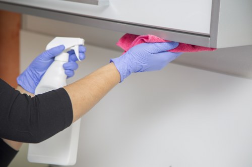 Professional deep cleaning for modern Canary Wharf flats